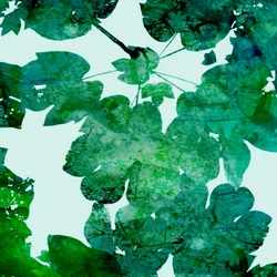 Gröna blad i lager