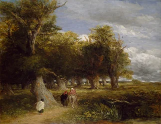 Skogens kjolar, 1855