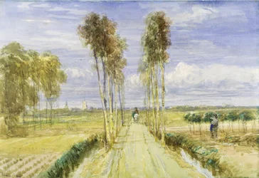 Poplar Avenue (akvarell över penna och svart krita på papper)
