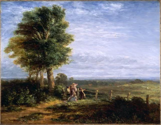 Skyläran, 1849