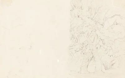 Träd [verso]