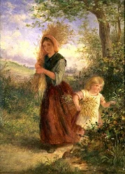 Samla vete