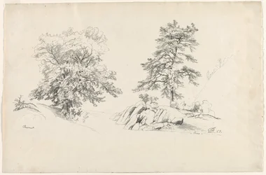 Kastanj och tall, 1869.