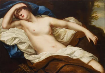 Diana i vila