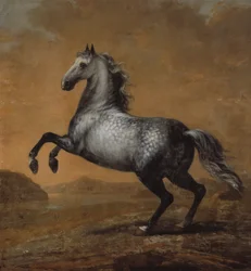 Den lille engelsmannen, kung Karl XI (1655-97)s häst