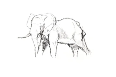 Bull Elephant, 2021 (krita på papper)