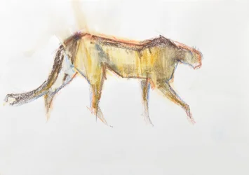 Cheetah, 2020 (krita och akvarell på papper)