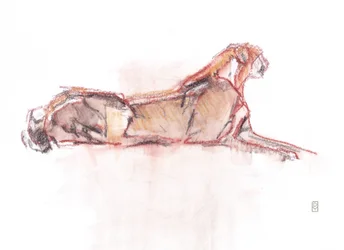 Cheetah alert, 2019 (krita/akvarell på papper)