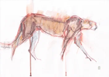 Gepardjakt, 2019 (krita/akvarell på papper)