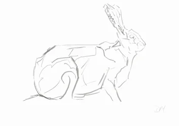 Hare, 2024 (bläck med bamburörspennor på papper)