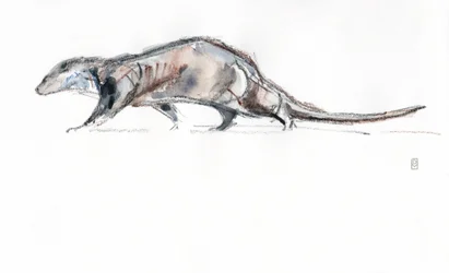 Otter running, 2022 (akvarell/krita på papper)