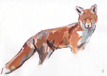 Red Fox, 2021 (gouache och akvarell/krita på papper)