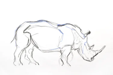 White Rhino, 2021 (krita och akvarell på papper)
