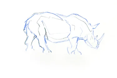 White Rhinoceros, 2020 (krita på papper)