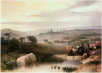 I det heliga landet: Jerusalem från norr (gravyr)