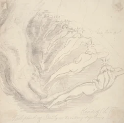 Sex designs for Nichol