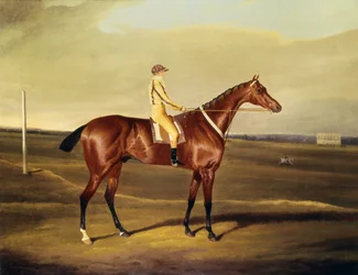 Hon. Robert Grosvenors Tawpy