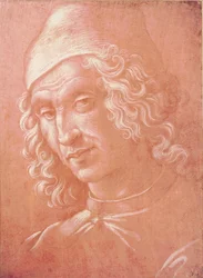 Head of a Man (silverpoint på papper)