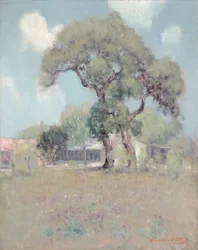 Texas landskap