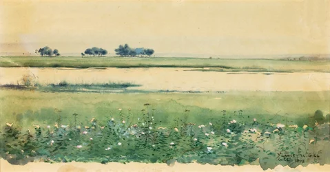 Landskap med myrar, 1898.