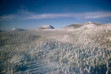 Sibirien i vinterlandskap över träsk och skogar täckta av snö


