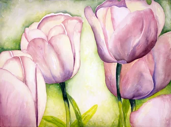 Lavendeltulpaner, 2006 (akvarell)