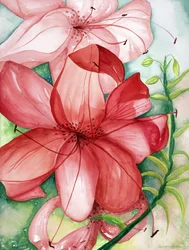 Tigerlily, 2007 (akvarell)