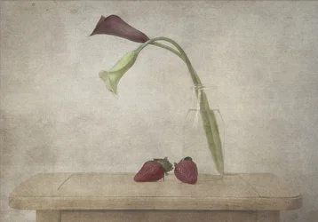Calla-liljor och jordgubbar
