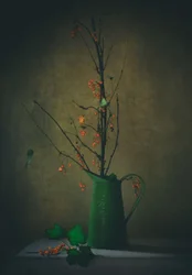 Mörkt botaniskt stilleben