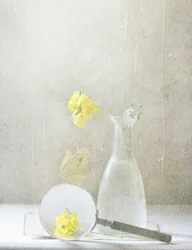 Drömlika gula blommor