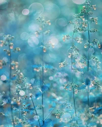 Eteriska blågröna blommor