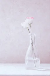 Blommor i kärlek