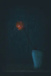 Glödande röd blomma