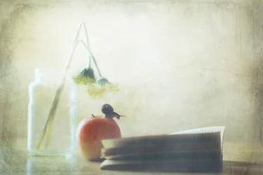Snigel Äpple En stunds stillhet
