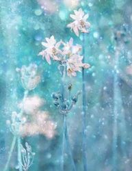 Glittrande blå blommor