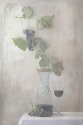 Stilleben med vintidiga druvor och vin