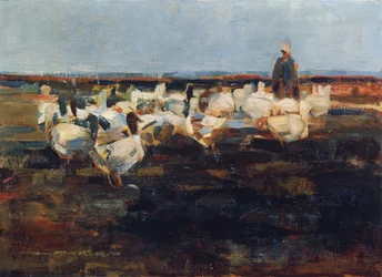 Flock gäss på hagen