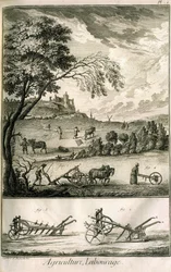 Fältarbete - Jordbruk, sådd, plöjning. Olika modeller av rullar och plogar: Plåt med en volym av illustrationer från Encyclopedie of Diderot, originalupplagan 1762