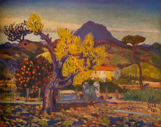Päronträd i blom, 1913 1932