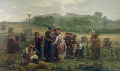 Skördar vallmo i Picardie, 1860