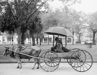 Bovinmobile i Savannah, Georgia