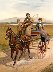 Irländsk jaktbil, ca 1890