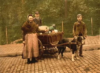 Milk Sellers, Bryssel, Belgien, ca 1900