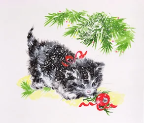 Julkattunge