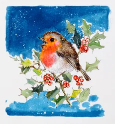 Robin Red-breast, 1996 (wc)