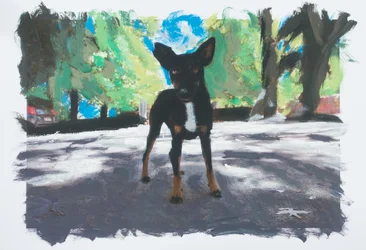 Perro en Chile, 2019 (akrylfärg på tryckt foto)