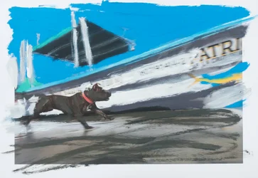 Perro en Sayulita, 2019 (akrylfärg på tryckt foto)