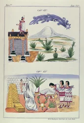 Kap 63 och kap 64, illustrationer från "Historia de las Indias de Nueva Espana y islas de tierra firme", med planscher av Jules Desportes, Mexiko, 1867-80.