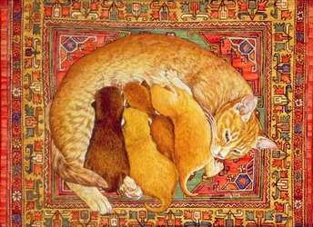 Matta-Kattungar