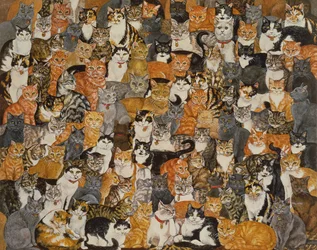 Dubbel Cat-Spread